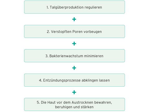 Die Wirkung der Santaverde pure Produkte im Überblick